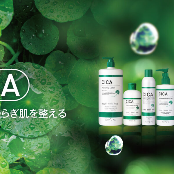 CICAシリーズ